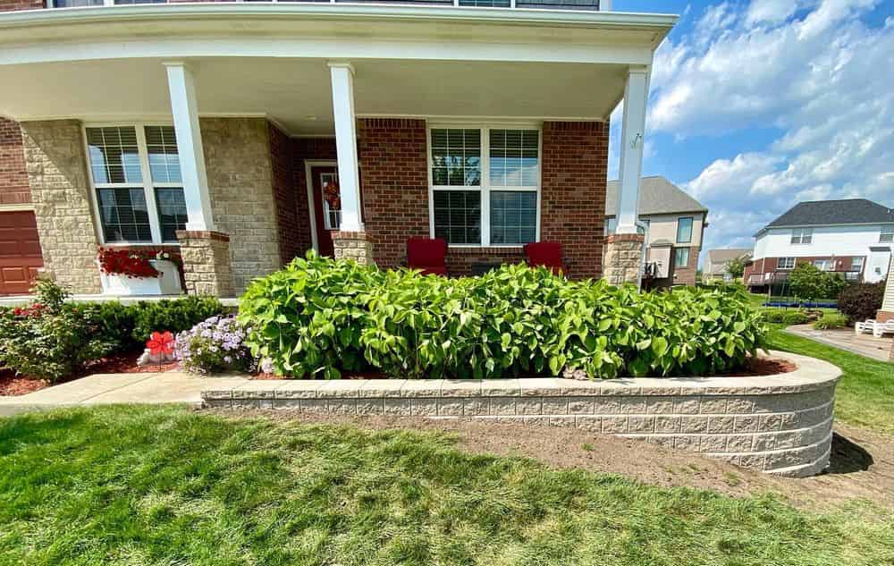 Landscape Design image