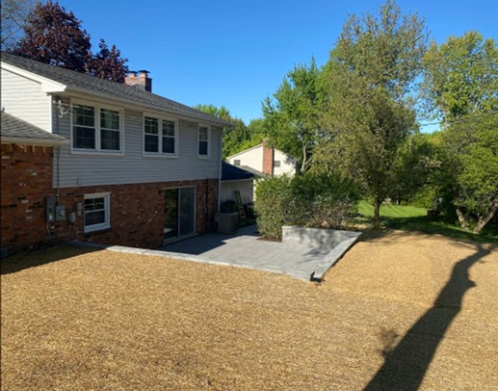 Backyard view featuring a patio, landscaped yard, and residential exterior on a sunny day.