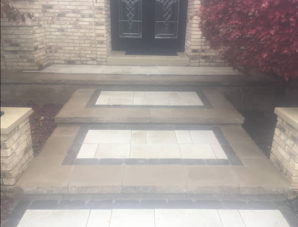 Elegant stone walkway leading to double front doors, framed by a vibrant red plant.