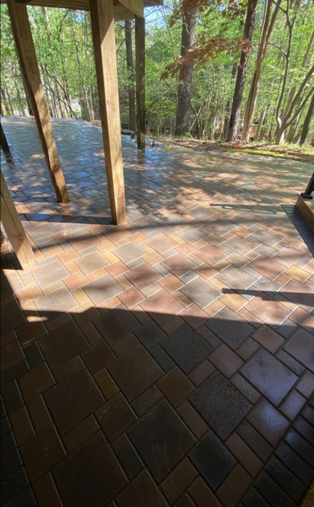 Paved patio with herringbone pattern, surrounded by trees and natural light in a forest setting.